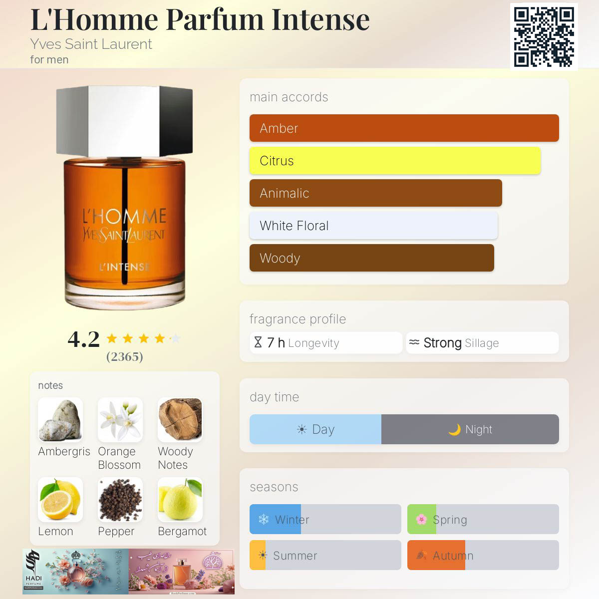 نقد و بررسی عطر ادکلن لهوم پرفیوم اینتنس ایو سن لورن (الهوم پارفوم اینتنس) L'Homme Parfum Intense Yves Saint Laurent