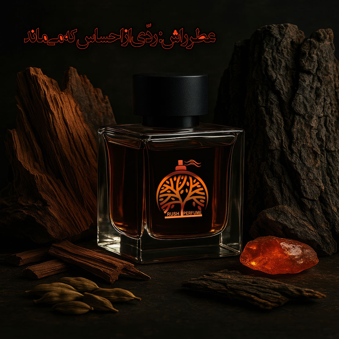 بهترین عطرها برای هدیه دادن به همسر + نکات حرفه‌ای
